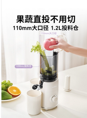 九阳小型全自动渣汁分离原汁机