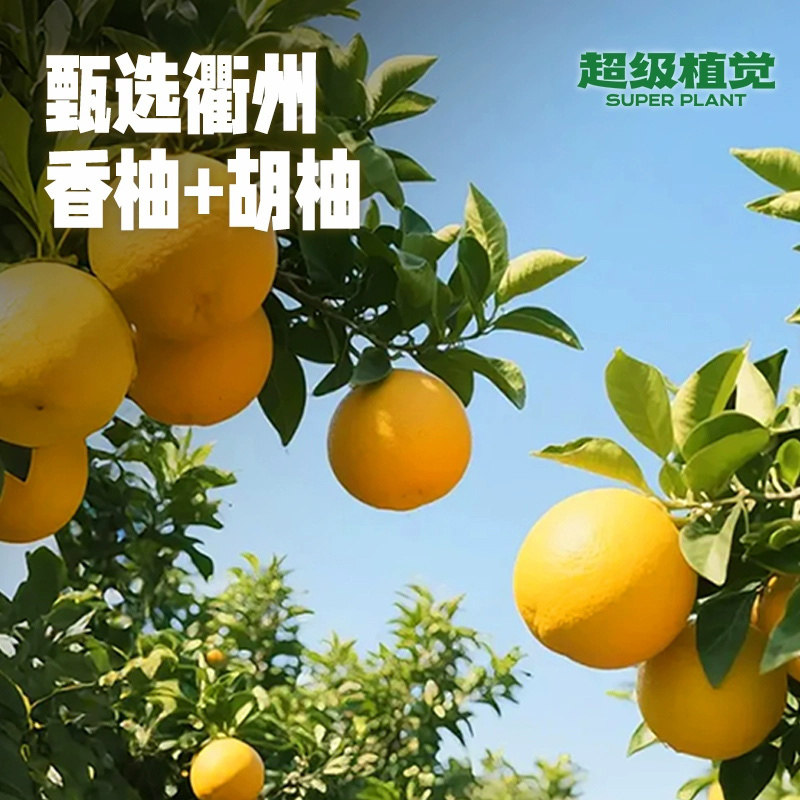 超级植觉双柚汁180ml*10袋