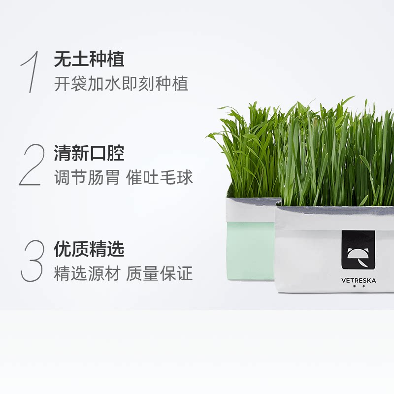 未卡去毛球无土壤水培种植猫草燕麦草狗尾巴