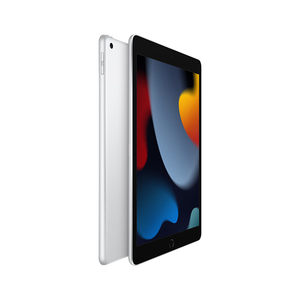 Apple/苹果 iPad(第 9 代)10.2英寸平板电脑 256GB WLAN版