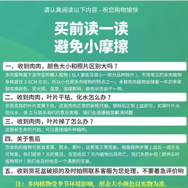 凯天·花航花卉绿植盆栽多肉植物多肉盆栽1盆肉肉室内外新手好养