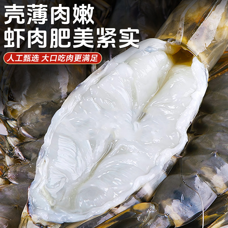 黑虎虾鲜活超大速冻新鲜大海虾老虎虾冷冻基围虾特大海鲜水产商用,淘宝优惠券,粉丝福利购,淘宝优惠卷