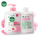 Dettol/滴露健康抑菌滋润倍护洗手液500g+500g