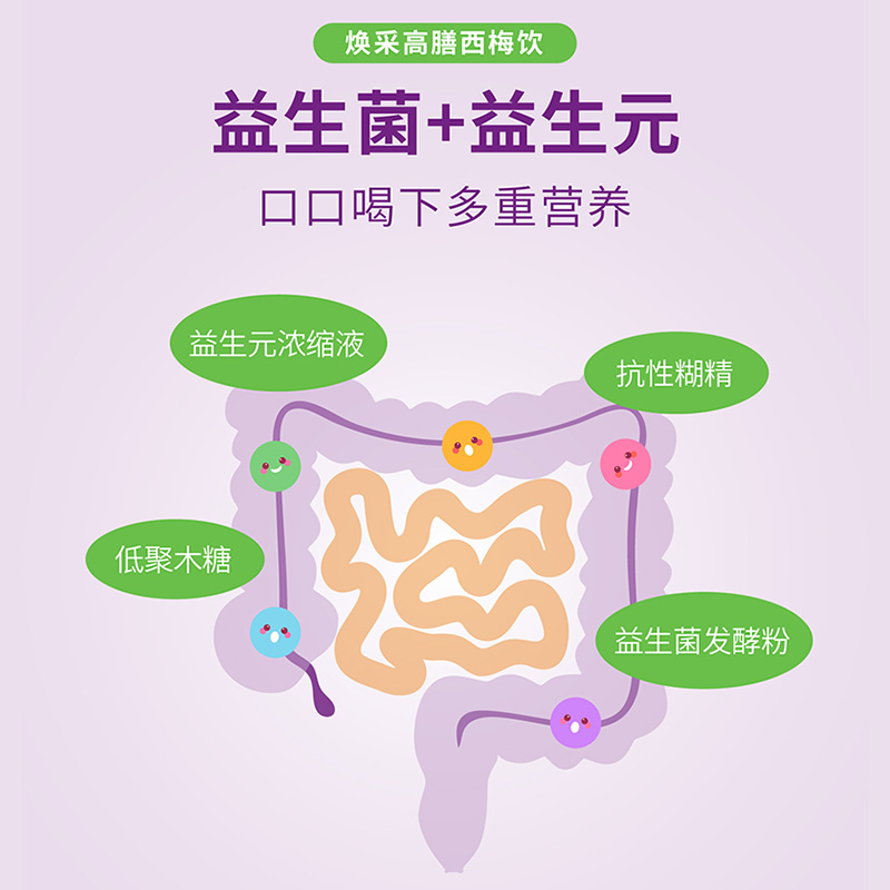 江中西梅汁2种益生元高膳果蔬饮料500ml*3瓶西梅汁西梅饮 - 图3