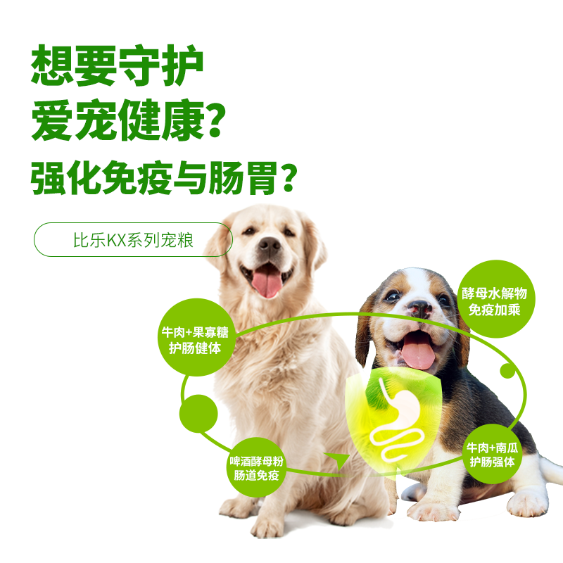 比乐牛肉果寡糖成犬粮50g狗粮泰迪柯基比熊拉布拉多 - 图0