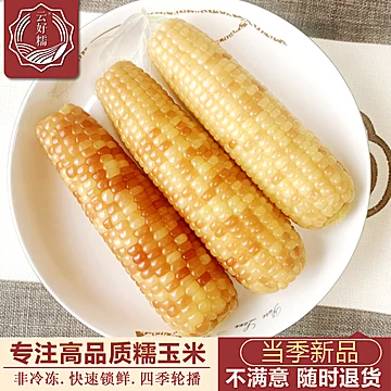 云好糯西双版纳糯玉米1.5kg（8--9根）[8元优惠券]-寻折猪