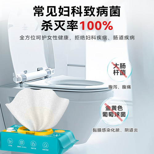 hpv马桶消毒湿巾清洁擦马桶坐垫湿纸巾0酒精卫生间厕所座圈盖擦拭 - 图1
