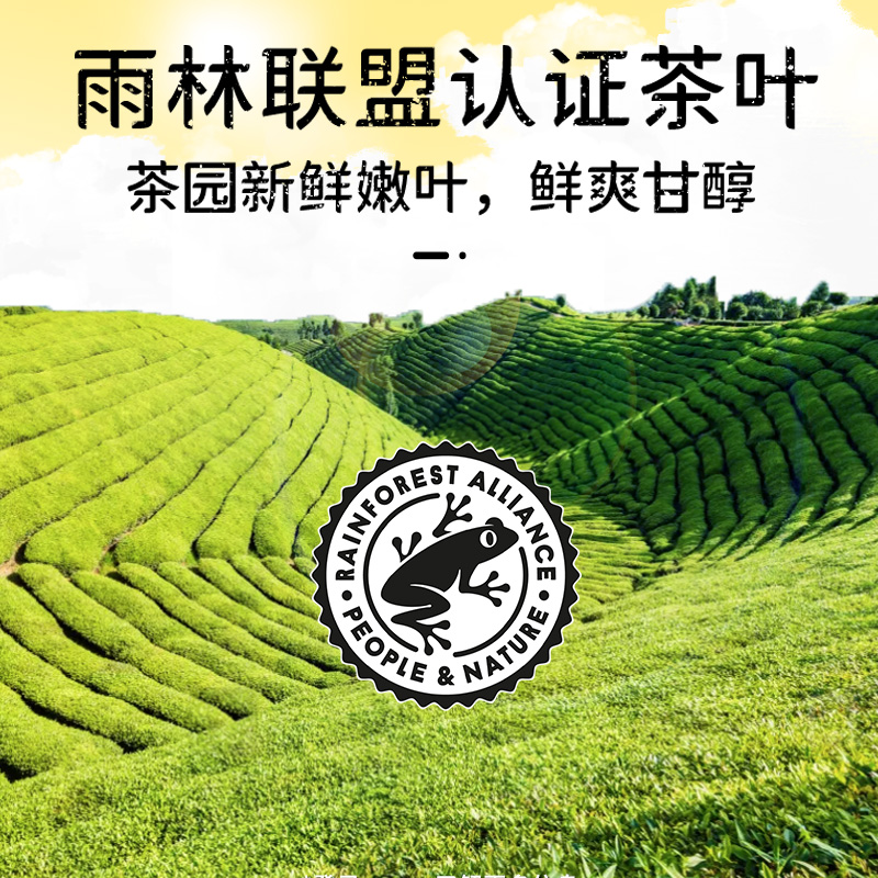 Lipton/立顿绿茶50包商务招待袋泡茶100g/盒办公室提神下午茶奶茶-图3