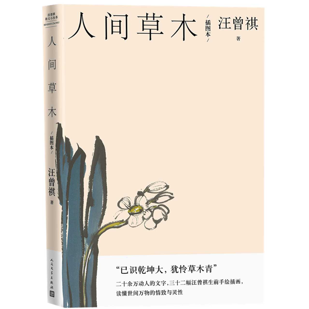 人间草木插图本 汪曾祺经典谈草木虫鱼32副生前手绘插图新华书店 - 图3