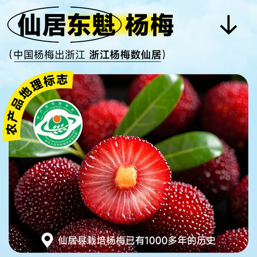 扬百利仙居杨梅汁饮品果蔬汁饮料果汁整箱冰饮孕妇饮品245ml*6瓶 - 图2