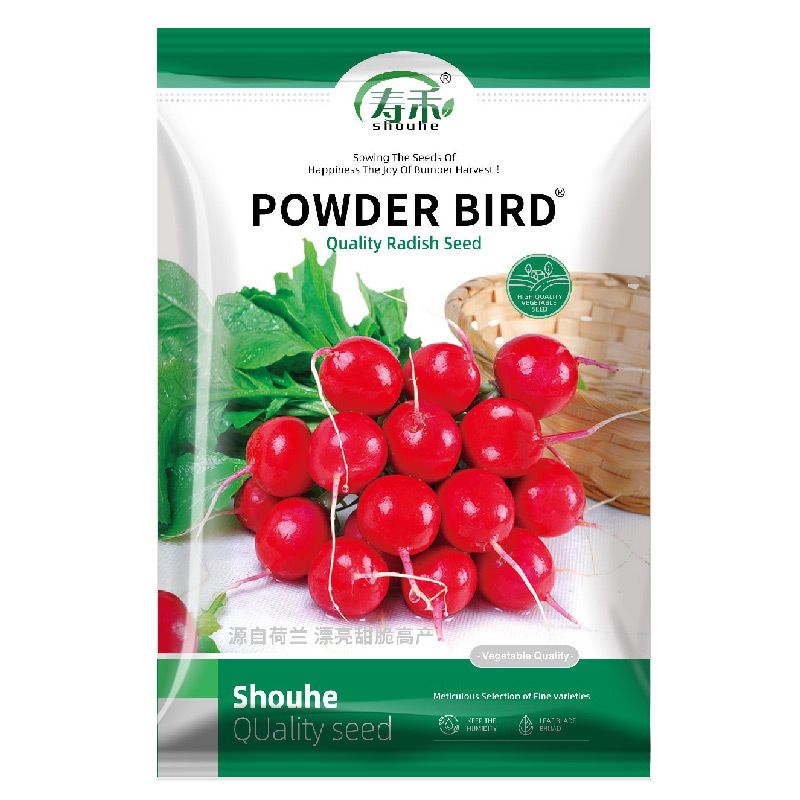 寿禾POWDER BIRD樱桃萝卜种子10g种籽孑蔬菜菜种菜籽四季水果萝卜 - 图3