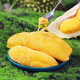Musang King durian imported from Malaysia