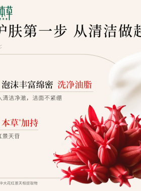 相宜本草红景天洁面膏净透100g