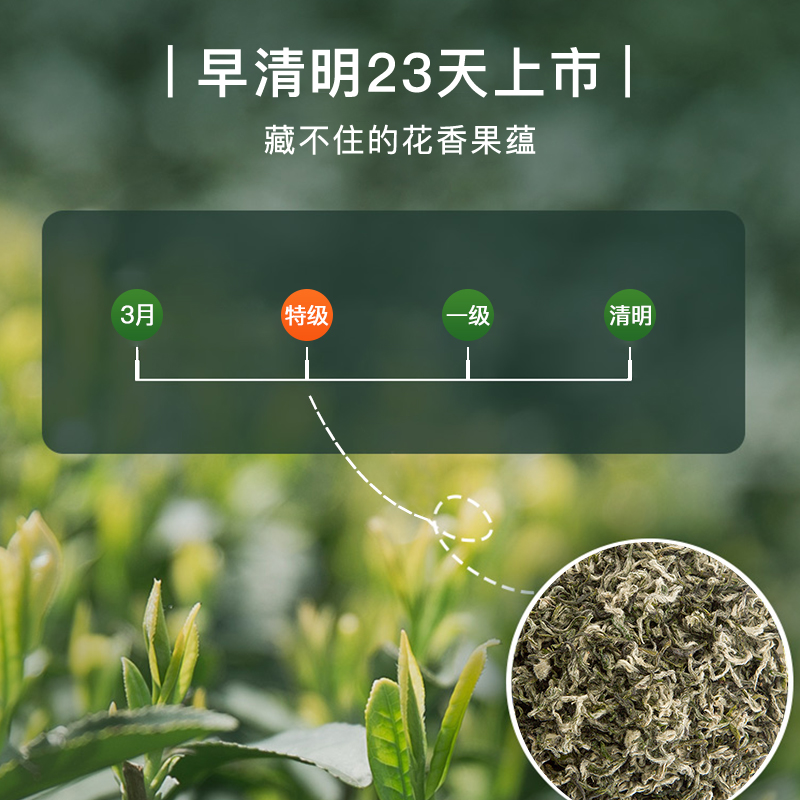 2024新茶艺福堂茶叶明前特级碧螺春嫩芽250g苏州原产浓香自喝正品 - 图1