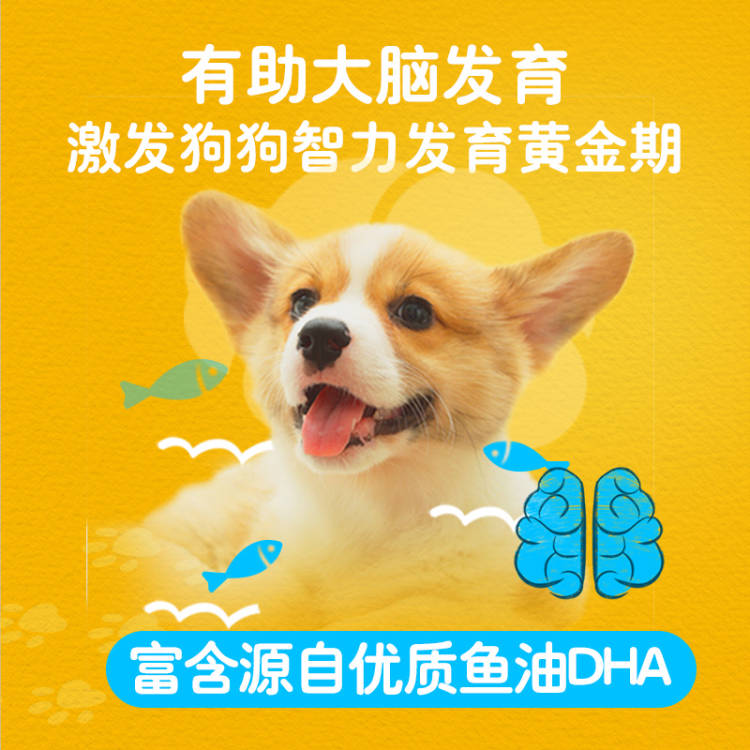 宝路Pedigree幼犬定制粮4kg全犬种全价营养狗粮牛肉味 - 图2