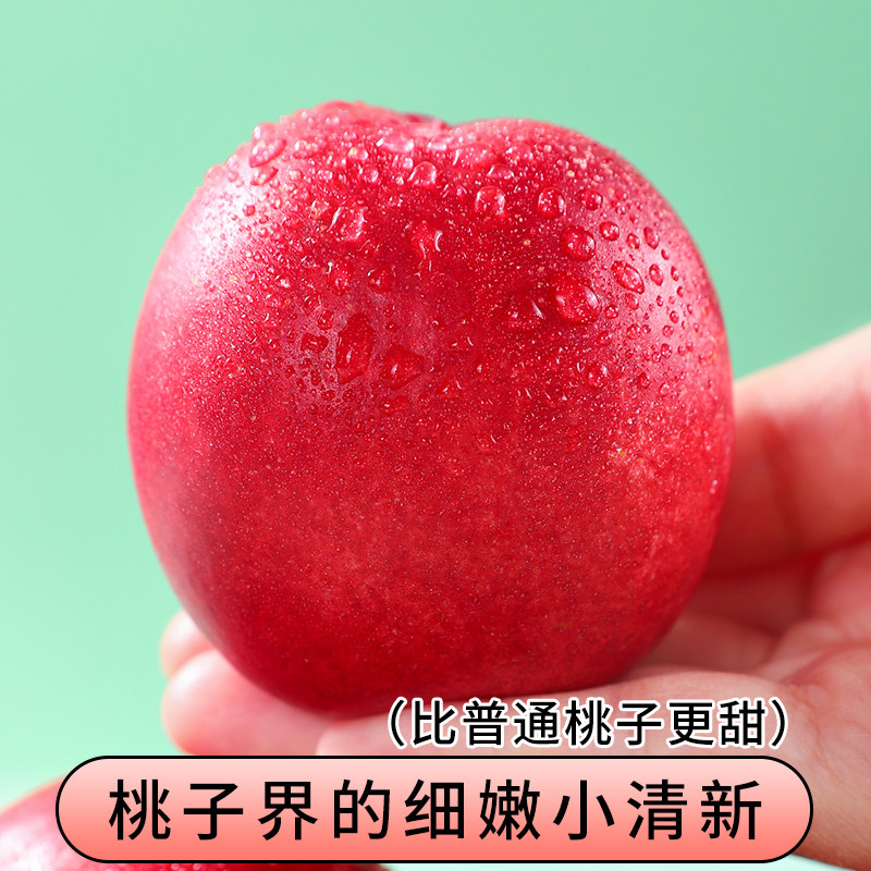 ���޽��� �����Ӵ���ѩˮ��С���� ����ˮ�� ʱ��� �и� 5�� ����100-140g63.01Ԫ(����ȯ)