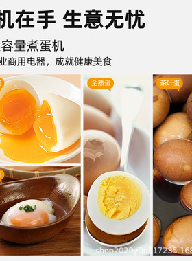 温泉煮蛋机商用大容量煮蛋器定时恒温日本蒸蛋器半生熟蛋溏心蛋机