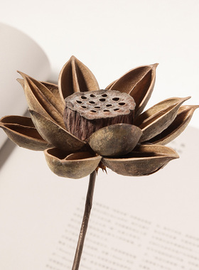 侘市政寂风天然风干花束diy禅意家居装饰品摆拍摄影道具