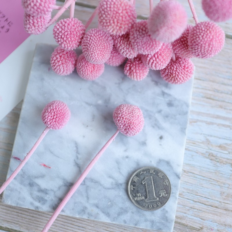 等花来黄金球永生花单个diy花材保鲜花 花盒玻璃罩制作配材直销,淘宝优惠券,粉丝福利购,淘宝优惠卷