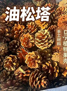 松果花干松球花瓣节日Zakka装饰品幼儿园手工环创制作材料diy饰品