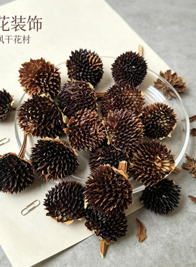 【黑心菊】天然植物果实干果田园风ins手工diy材料幼儿环创圣诞花