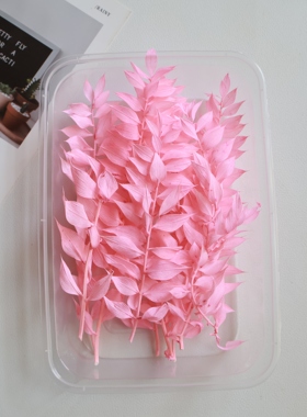 永生花富贵叶小叶尖叶干花多色可选diy戒指材料伴手礼装饰花材叶