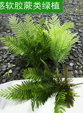 仿真巢蕨波斯叶水草植物墙布景