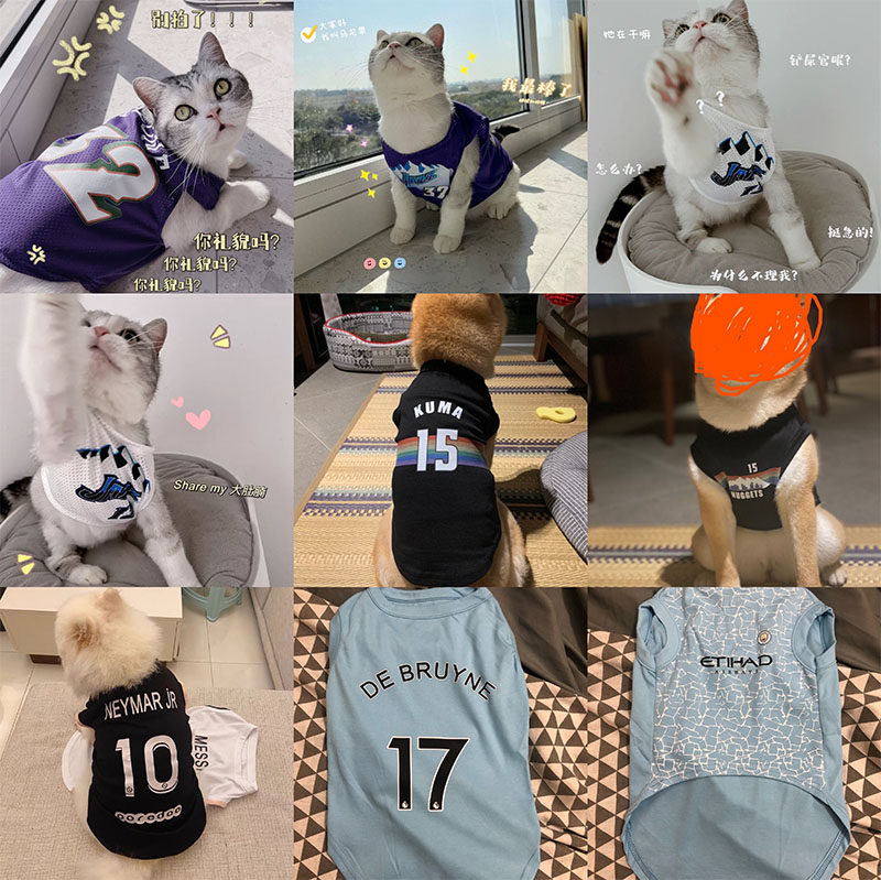 来图定制 二维码狗金毛兔设计中大型犬边牧猫咪亲子同款宠物衣服