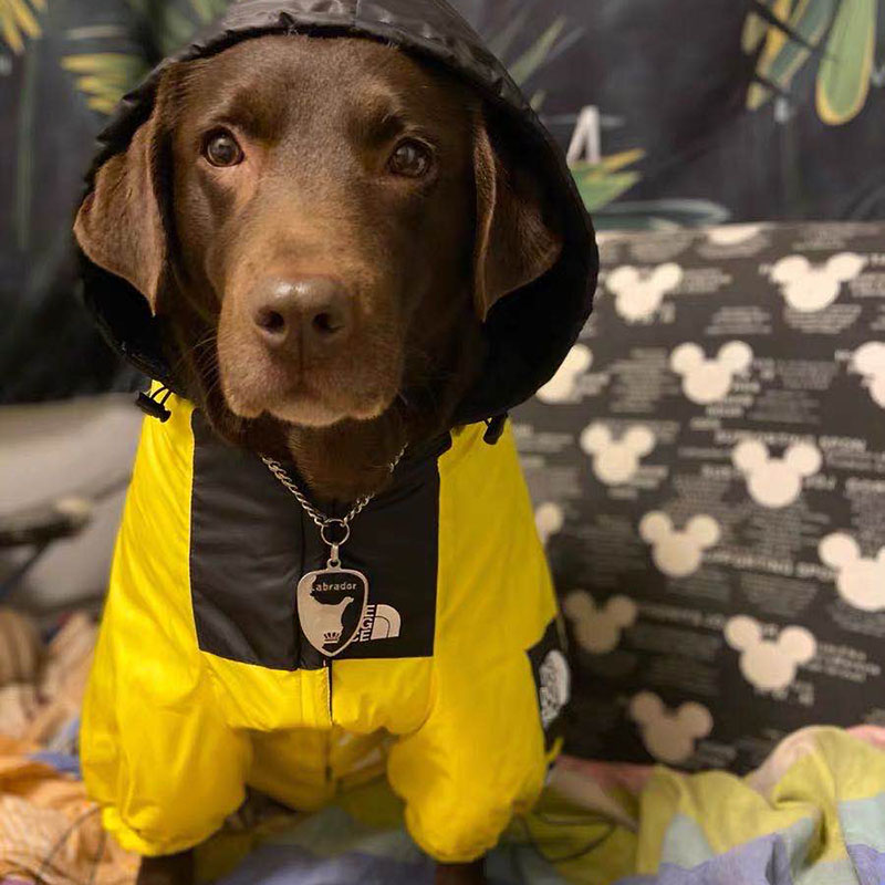 防水潮冲锋衣 秋冬巴哥胖狗雨衣中大型犬比熊柴犬防着凉两脚衣服 - 图0