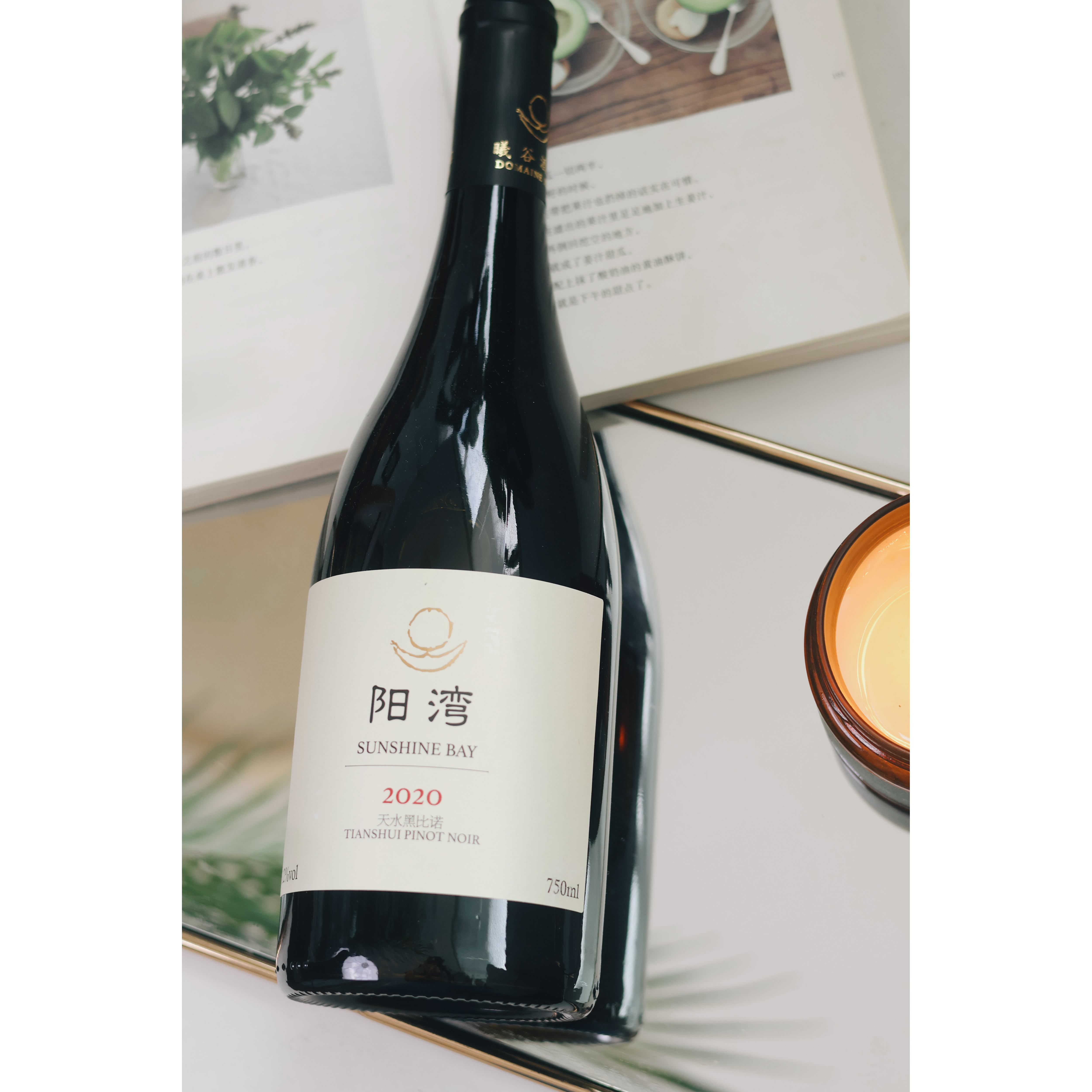 Decanter90分!曦谷xigu酒庄 中国甘肃天水阳湾黑皮诺干红葡萄酒 - 图0