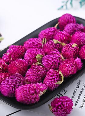 厂家云南干花千日红 基地直供新货千日紫 散装500g花草茶包邮