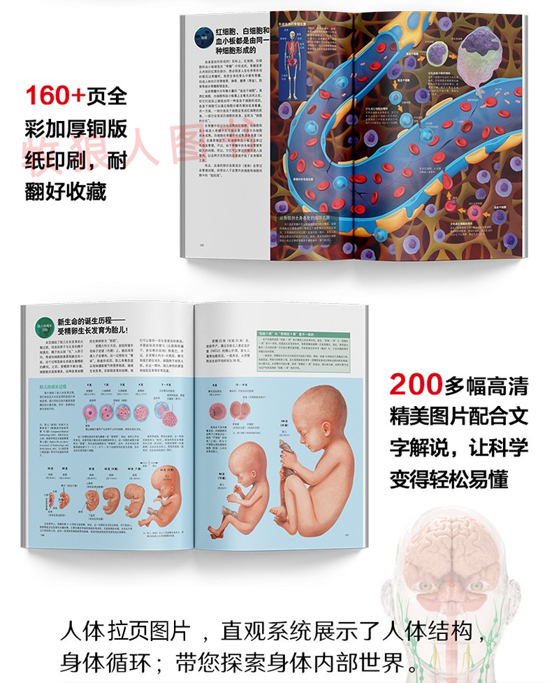 Newton科学世界杂志2023年典藏版增刊 图解人体手册 科学技术探索实验科普非2024年过刊【单本】 - 图3