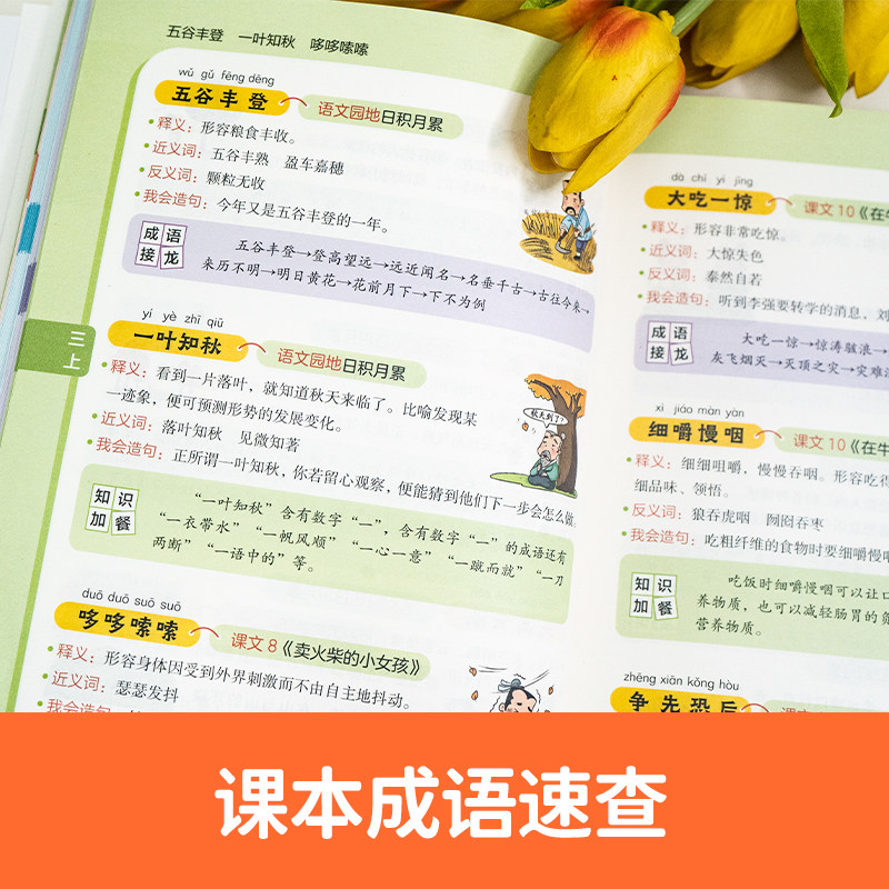 课本里必背的成语 高频常考成语速查一本全小学生开心语文 近1000词易错四字成语积累一二三年级课外文化知识大全四五六年级文学