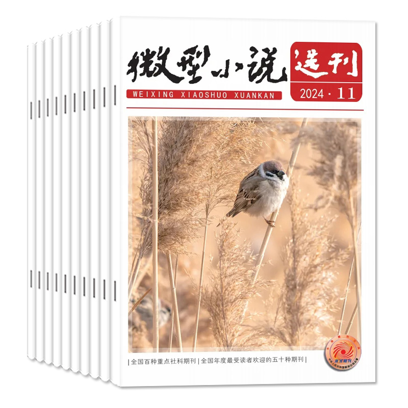 微型小说选刊杂志2024年1-11期新【含全年/半年订阅/2023年1-12月现货】半月刊短篇原创故事文学文摘小小说作文素材过刊-图0