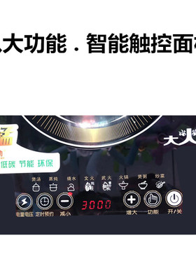 永劲多功能定时预约足的功率粗线