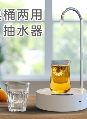 电动抽水器户外可移动茶几自动上水器露营房车水龙头底座桶装水