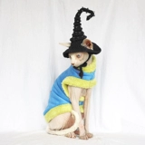 Hua Chenyu [Perper Tyme Aparach] Руковолочный уши с ушами шляпные парики головных уборов парики для кошек, чтобы сфотографироваться