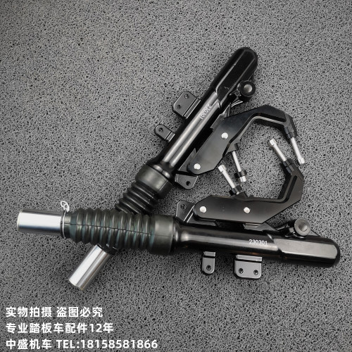 适用林海三四五代目劲战F1小牛九号改装33芯400左右双碟刹前减震 - 图3