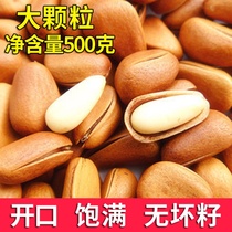 Year Nuts Pine Seeds Northeast Pine Son White Mountain Opening Pine Nuts 1 Catty Whole Box Bagged 500g New Goods Bulk Weighing