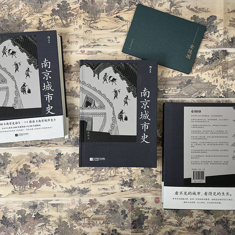 后浪正版南京城市史南京2500年建城史和近500年建都史中国城市史历史文化南京建都史城市史书籍_虎窝淘