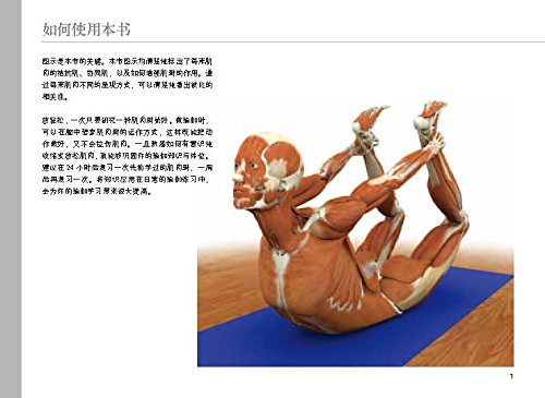 后浪正版 瑜伽3D解剖书1-2 瑞隆瑜伽动作篇+肌肉篇套装 全2册 艾扬格弟子瑜伽教程书 基础瑜伽拉伸教程零基础初级入门书 - 图2