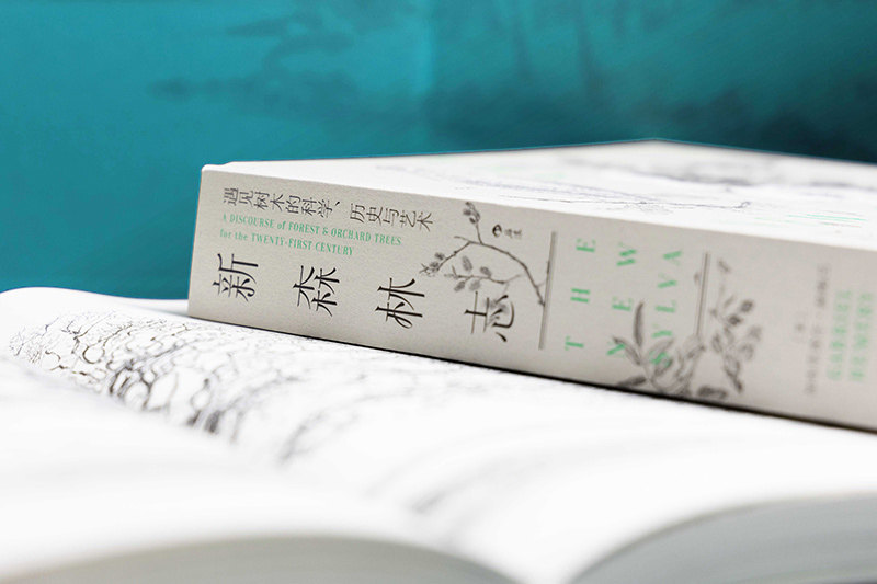 【赠科学便签本】后浪正版 新森林志 遇见树木的科学历史与艺术 英国皇家学会 200余幅钢笔画 森林学术文化科普读物书籍,淘宝优惠券,粉丝福利购,淘宝优惠卷