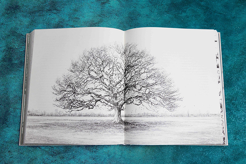 【赠科学便签本】后浪正版 新森林志 遇见树木的科学历史与艺术 英国皇家学会 200余幅钢笔画 森林学术文化科普读物书籍,淘宝优惠券,粉丝福利购,淘宝优惠卷