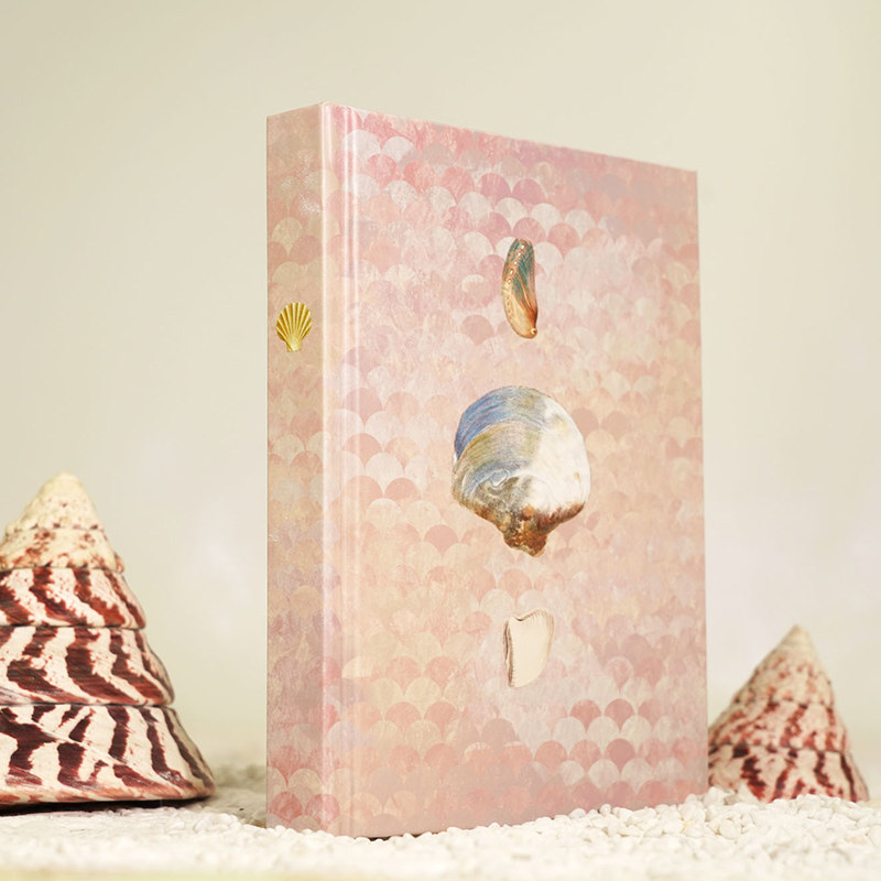 后浪正版 贝壳之美 复古艺术馆系列 190幅贝壳画作 海洋生物写生手绘版画自然纹样艺术书籍,淘宝优惠券,粉丝福利购,淘宝优惠卷