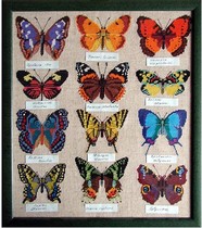 Cross-embroidered source document butterfly specimen