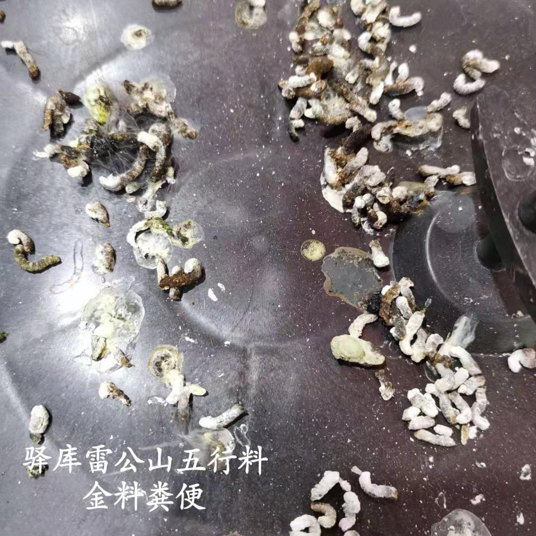 画眉鸟食新品雷公五行金料骨蟮提骨增重鸣性高亢适用三毛斗鸟驿库