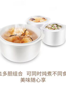 天际隔水炖陶瓷一锅三胆全自动