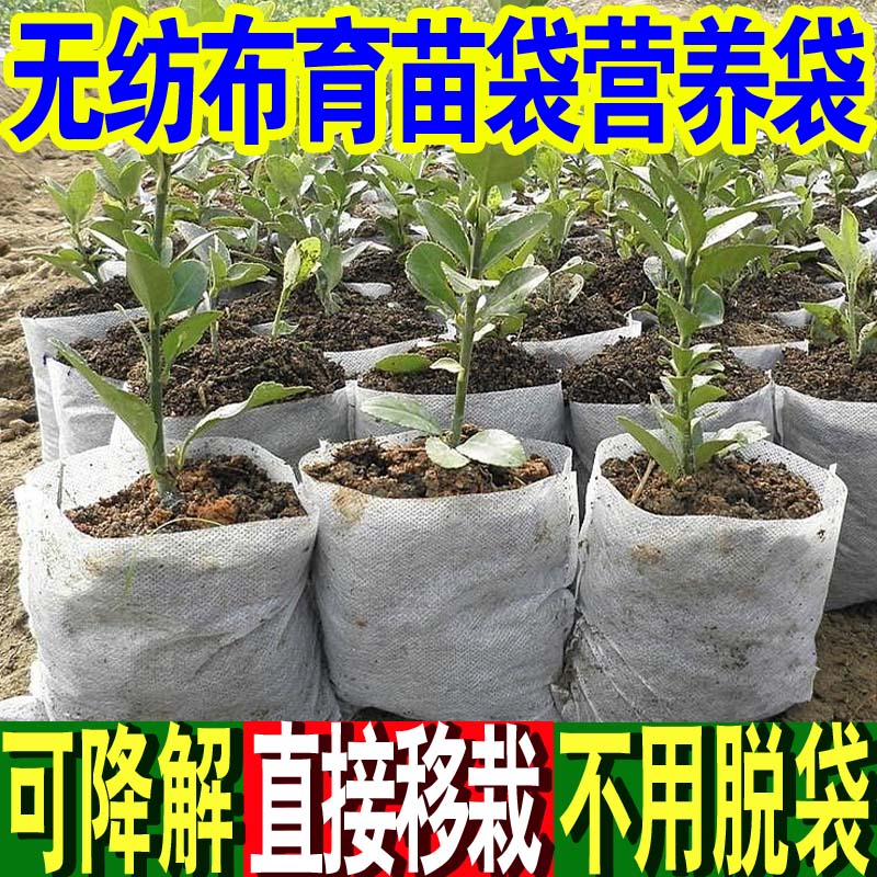 白色可降解一次性加厚无纺布育苗袋果树种植营养钵育苗花盆营养杯 - 图0