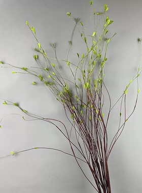嫩芽柳枝仿真花绿植柳枝柳芽假花清新嫩芽藤条家居摆设客厅装饰花