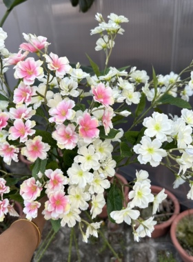蓝星花仿真花客厅餐桌假花家居摆件装饰塑料绢花插花摆设干花花束